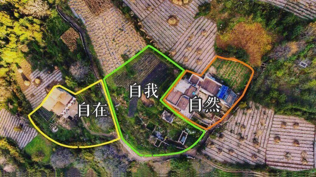 “森林学校”或将为未来教育注入新活力