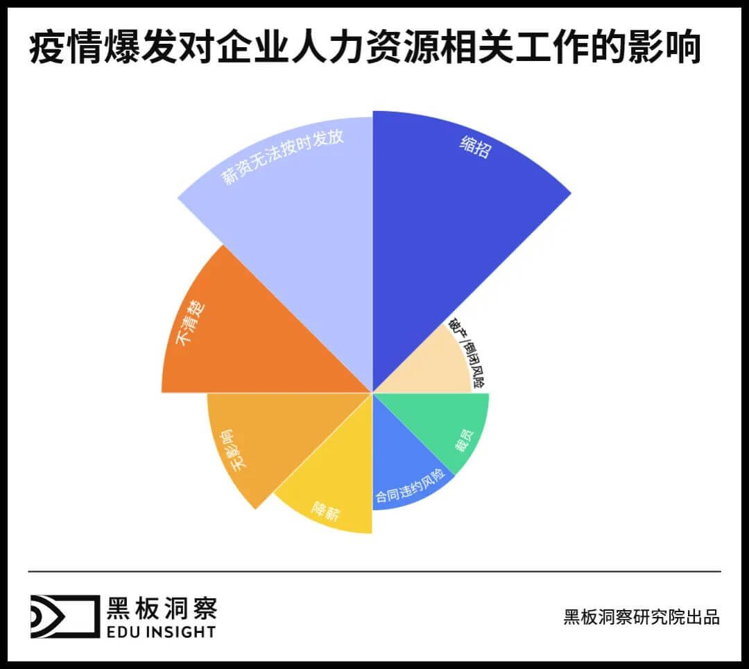 2020高校毕业生何去何从？