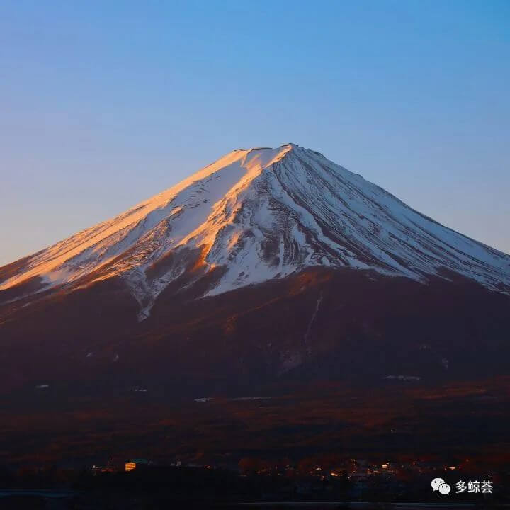 6天5夜日本探索教育之旅，5月28日首发！-黑板洞察