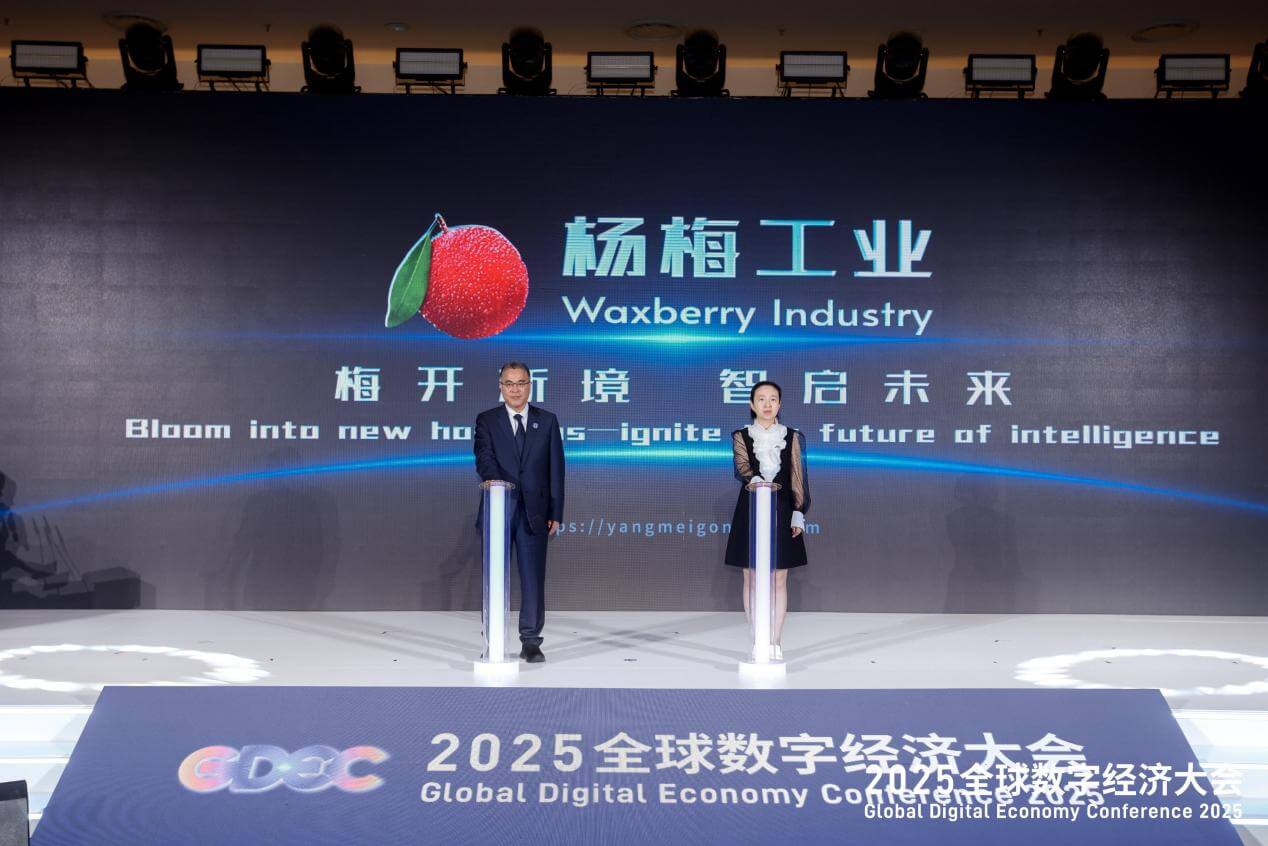 聚焦大模型应用落地,2025全球数字经济大会人工智能融合应用发展论坛在京举办-黑板洞察